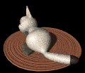 cat_suprised_md_blk.gif