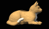 catliedown.gif
